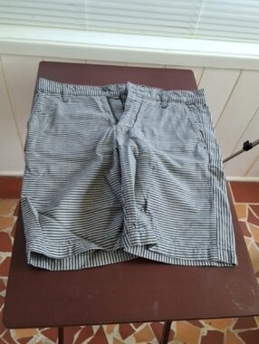 7 For All Mankind Navy and White Striped Men's Flat Front Shorts